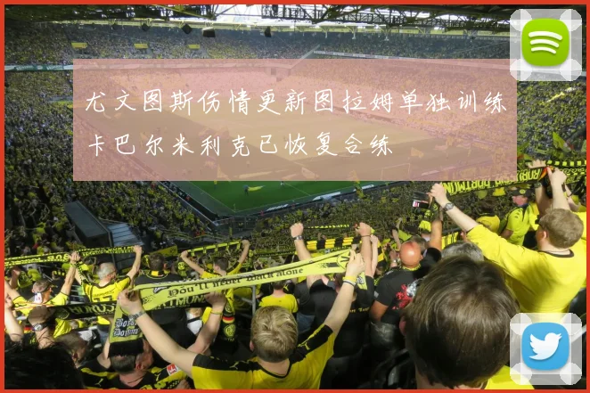 尤文图斯伤情更新图拉姆单独训练卡巴尔米利克已恢复合练